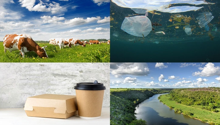 The 25-year Environment Plan includes pledges to eliminate avoidable waste and introduce new safeguards for wildlife